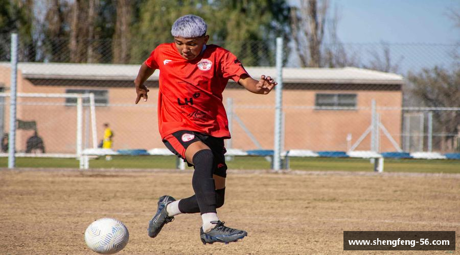 ob欧宝平台挑战颠峰，践行拼搏